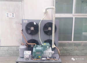 基础实用的冷库维保知识，守护您的制冷设备